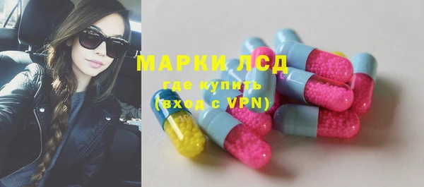 прущие грибы Белоозёрский