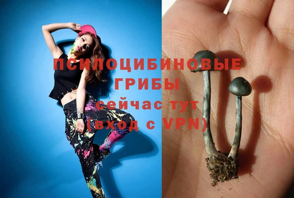 mix Богданович