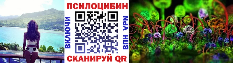 ОМГ ОМГ ТОР  магазин продажи наркотиков  Болотное  Псилоцибиновые грибы ЛСД 